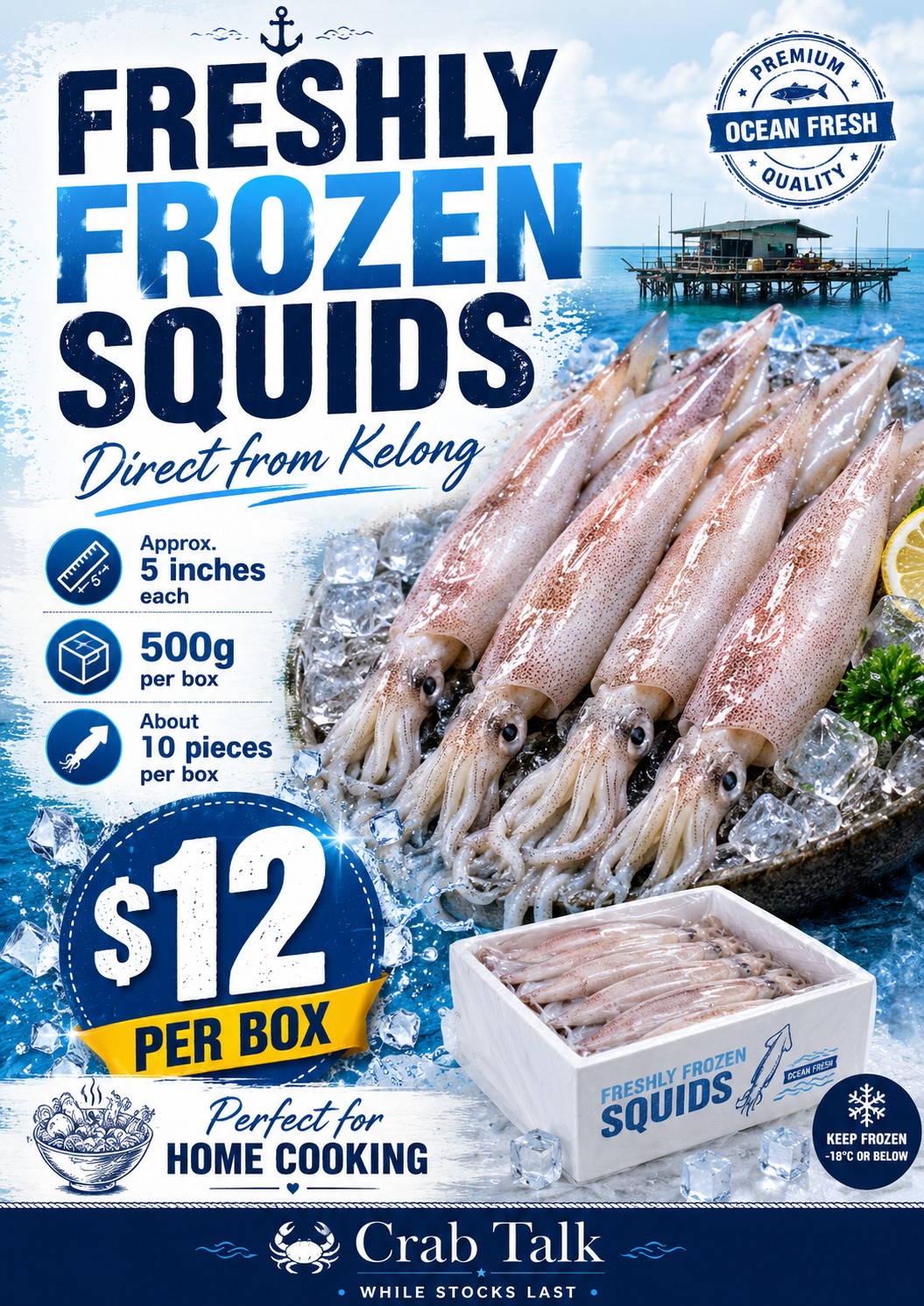 Freshly frozen squids direct from kelong poster