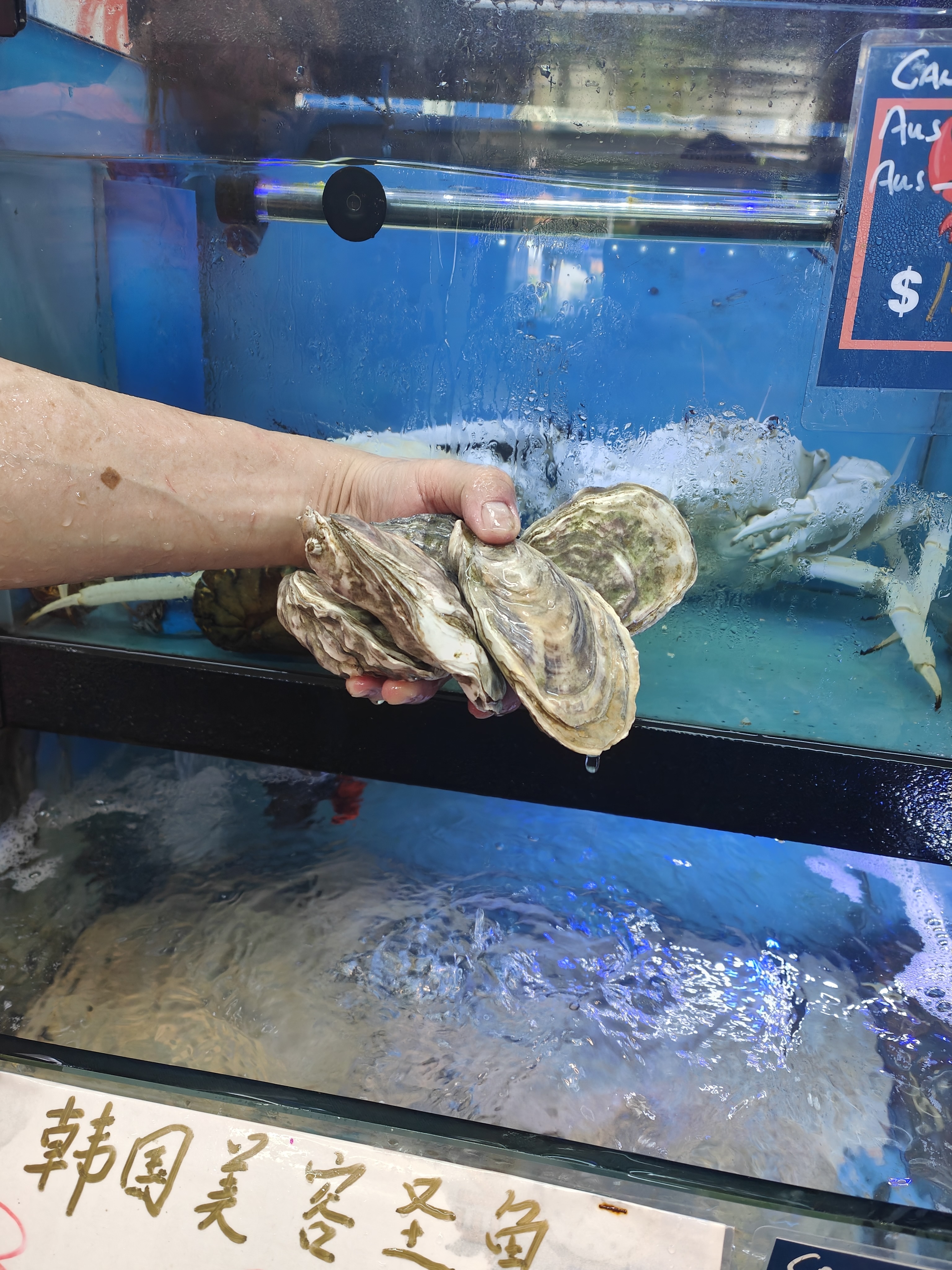 Fresh oysters Singapore at Crab Talk