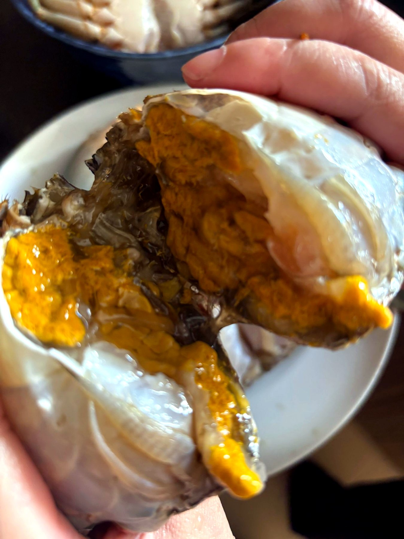 Premium Sri Lanka Yellow Roe Crab with rich golden roe in Singapore