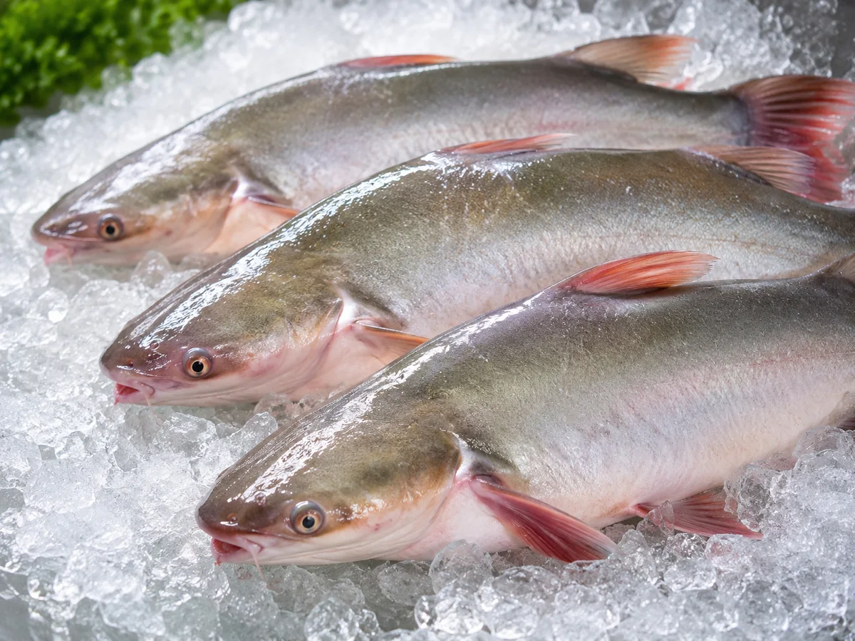 Patin