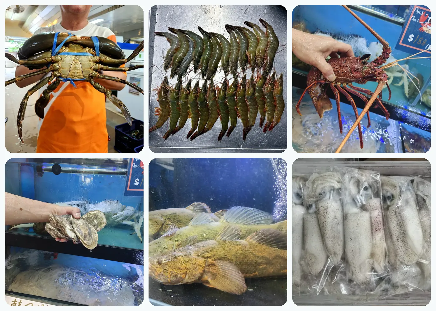 Crab Talk focused product range